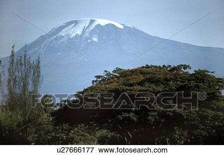 Stock Photo - kilimanjaro, people, mount, tanzania, person, flowers. Fotosearch