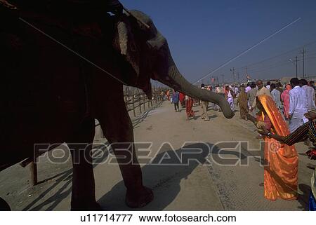 Stock Photo - kumbhmela, peasant, 2001, elephant, worhsipers, hindu. Fotosearch
