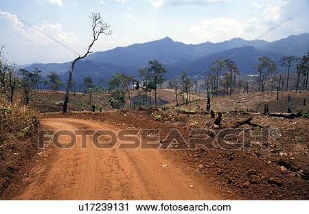 Stock Image - lahu, person, road, thailand, 9393, people. Fotosearch