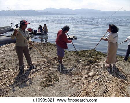 Stock Image - lake, person, cleaning, team, salvador, people. Fotosearch