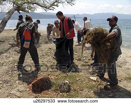 lake, person, cleaning, team, salvador, people View Large Photo Image Stock Image - lake, person, cleaning, team, salvador, people. Fotosearch