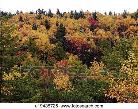 lake, person, tints, autumn, russia, people View Large Photo Image Stock Photography - lake, person, tints, autumn, russia, people. Fotosearch