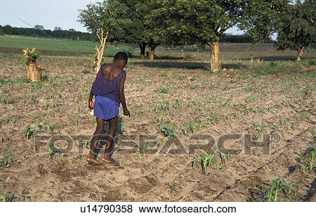 life, border, day, zambia, person, people View Large Photo Image Stock Photo - life, border, day, zambia, person, people. Fotosearch
