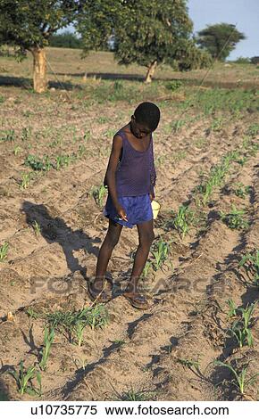 life, border, day, zambia, person, people View Large Photo Image Stock Photography - life, border, day, zambia, person, people. Fotosearch