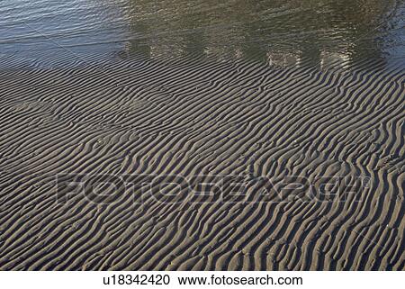Stock Image - low, pattern, shoreline, texture, nature, water. Fotosearch