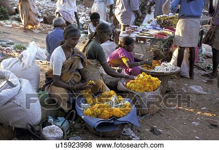 Stock Photo - marigolds, person, selling, india, women, people. Fotosearch