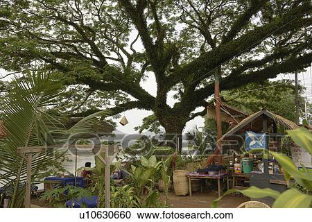 mekong, people, restaurant, laos, person, tree View Large Photo Image Stock Image - mekong, people, restaurant, laos, person, tree. Fotosearch