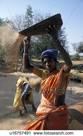 Stock Image - millet, person, finger, winnowing, india, people. Fotosearch