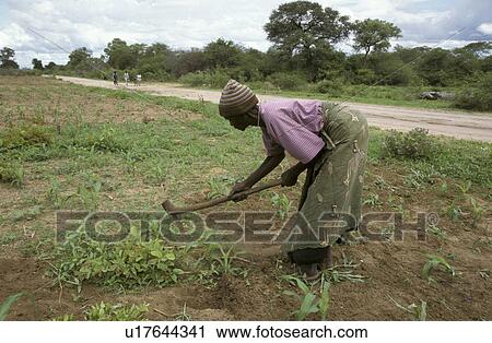 Stock Image - milopi, people, sikopo, zambia, person, woman. Fotosearch