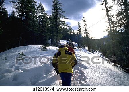 mountain, winter, trail, path, snowy, people View Large Photo Image Picture - mountain, winter, trail, path, snowy, people. Fotosearch