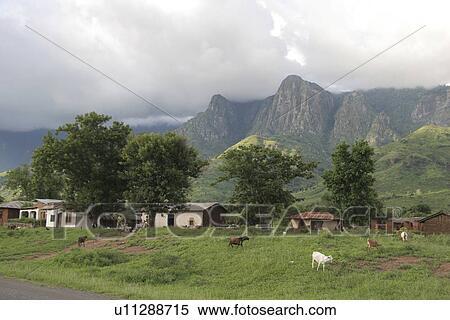 northeast, person, same, landscape, tanzania, people View Large Photo Image Stock Photography - northeast, person, same, landscape, tanzania, people. Fotosearch