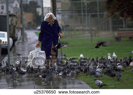 Stock Image - oakland, old, pigeons, feeding, female, woman. Fotosearch