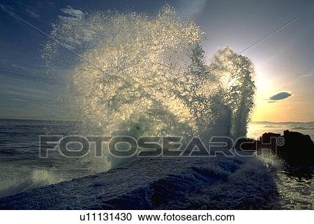 ocean, pacific, crashing, waves, grove, nature View Large Photo Image Stock Image - ocean, pacific, crashing, waves, grove, nature. Fotosearch