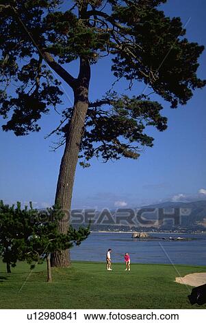 Stock Image - pebble, golf, beauty, fitness, tree, beach. Fotosearch