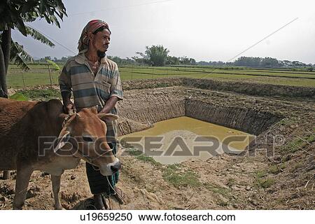 Stock Image - people, bangladesh, fish, person, water. Fotosearch