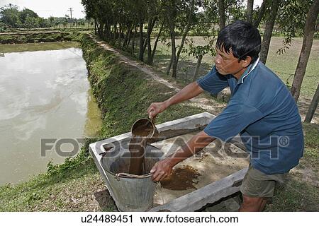 Stock Image - people, bangladesh, fish, person, water. Fotosearch
