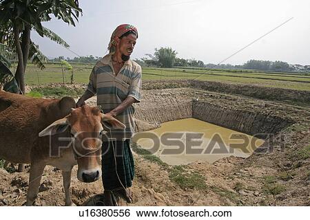 people, bangladesh, fish, person, water View Large Photo Image Stock Photograph - people, bangladesh, fish, person, water. Fotosearch
