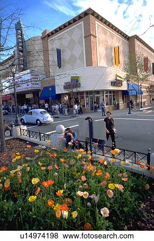 Stock Photo - people, california, cruz, santa, flowers. Fotosearch