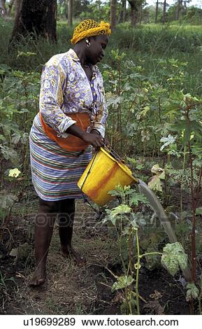 Stock Photo - people, gambia, 7443, person, woman. Fotosearch