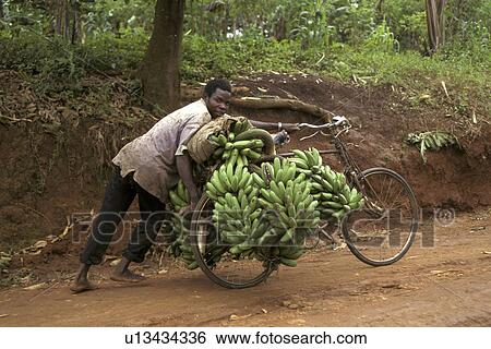 Stock Photograph - person, bicycle, pushing, uganda, people. Fotosearch
