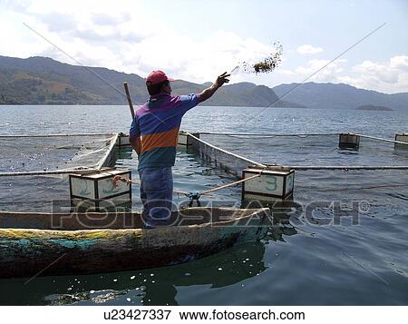 Stock Photo - person, farm, salvador, fish, people. Fotosearch