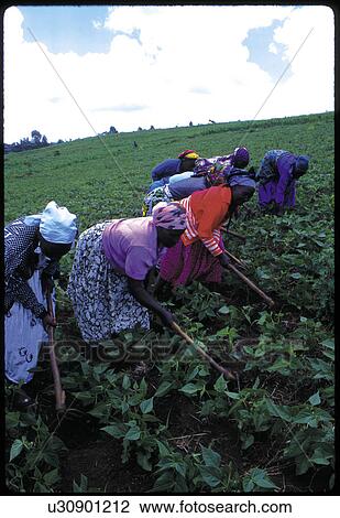 Stock Image - person, kukuyu, 3003, women, people. Fotosearch