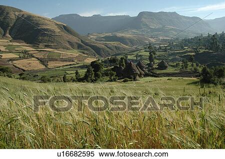 person, lalibela, landscapes, ethiopia, people View Large Photo Image Stock Photography - person, lalibela, landscapes, ethiopia, people. Fotosearch