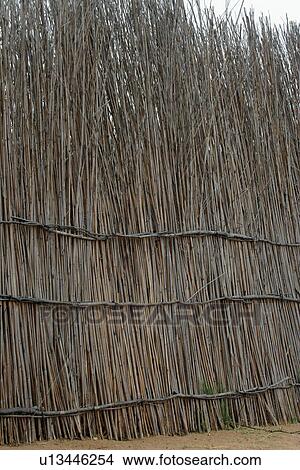 person, people, nature, pattern, border, background View Large Photo Image Picture - person, people, nature, pattern, border, background. Fotosearch