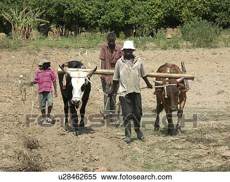 Stock Photography - person, ripper, mugoye, zambia, people. Fotosearch