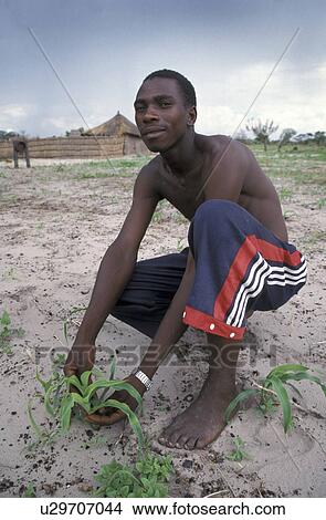 person, sikunga, mulondiwa, zambia, people View Large Photo Image Picture - person, sikunga, mulondiwa, zambia, people. Fotosearch