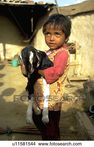 pet, kid, friends, goat, baby, child View Large Photo Image Picture - pet, kid, friends, goat, baby, child. Fotosearch
