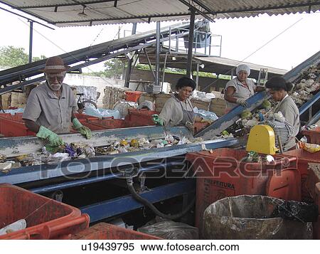 picking, person, scavengers, registered, brazil, people View Large Photo Image Stock Photography - picking, person, scavengers, registered, brazil, people. Fotosearch