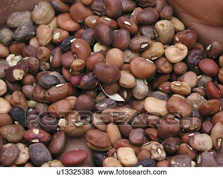 Stock Image - red, pattern, zambia, person, nature, people. Fotosearch