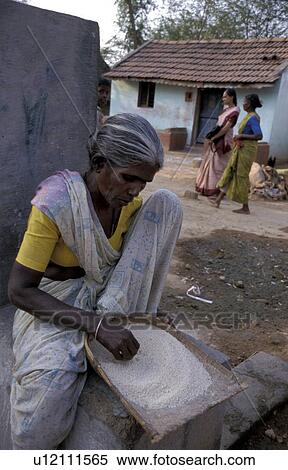 rice, people, cleaning, india, person, woman View Large Photo Image Stock Photography - rice, people, cleaning, india, person, woman. Fotosearch