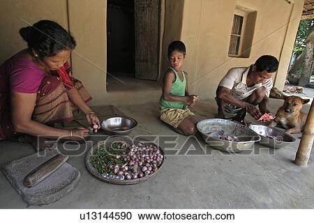 ritchil, person, alpona, bangladesh, fish, people View Large Photo Image Stock Image - ritchil, person, alpona, bangladesh, fish, people. Fotosearch