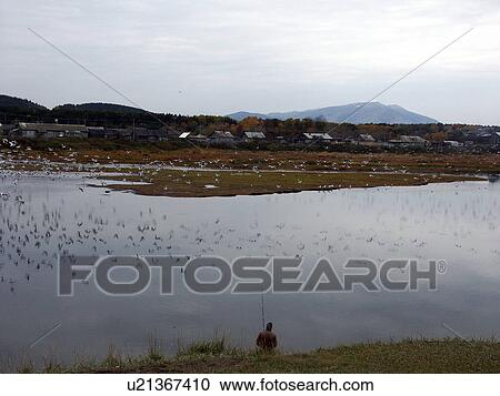 sakhalin, person, tunaycha, lake, russia, people View Large Photo Image Stock Image - sakhalin, person, tunaycha, lake, russia, people. Fotosearch