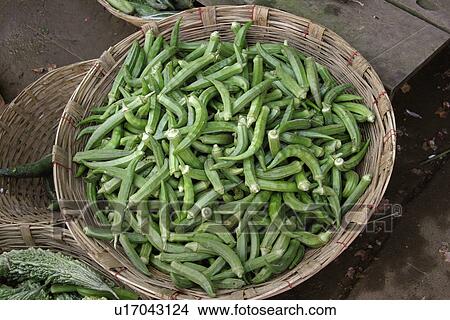 Picture - sale, bangladesh, fingers, ladies, okra, food. Fotosearch