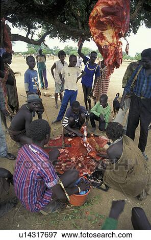 sale, person, meat, sudan, south, people View Large Photo Image Stock Photo - sale, person, meat, sudan, south, people. Fotosearch
