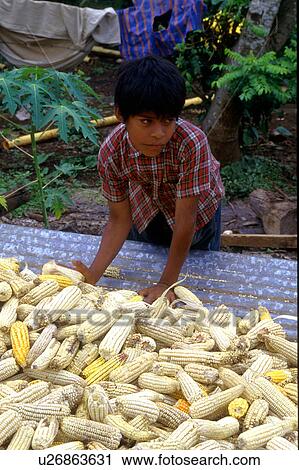 salvador, people, 5104, children, person, business View Large Photo Image Stock Image - salvador, people, 5104, children, person, business. Fotosearch