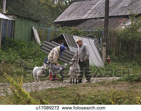 Stock Image - scene, person, street, russia, 7933, people. Fotosearch
