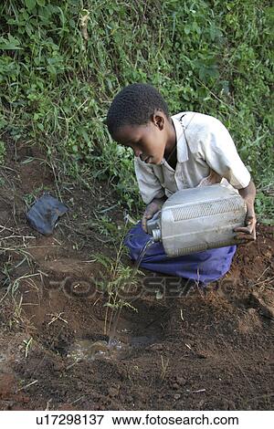 school, people, person, child, girl, tree View Large Photo Image Stock Photo - school, people, person, child, girl, tree. Fotosearch
