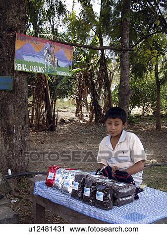 selling, coffee, boy, guatemala, person, people View Large Photo Image Stock Image - selling, coffee, boy, guatemala, person, people. Fotosearch