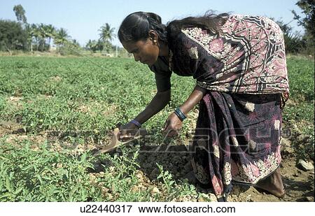shanthamma, people, india, female, person, woman View Large Photo Image Stock Photo - shanthamma, people, india, female, person, woman. Fotosearch