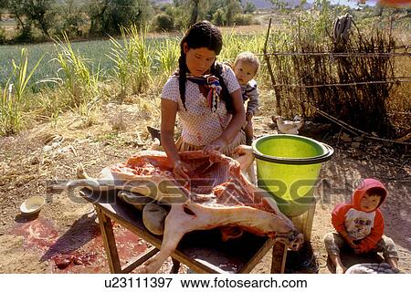 slaughtered, food, cleaning, female, woman, 3657 View Large Photo Image Stock Photo - slaughtered, food, cleaning, female, woman, 3657. Fotosearch