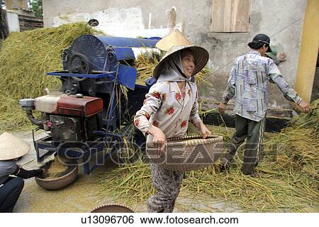 street, person, rice, milling, vietnam, people View Large Photo Image Stock Photograph - street, person, rice, milling, vietnam, people. Fotosearch