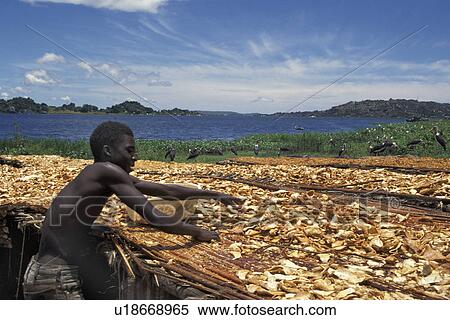 Stock Photography - tanzania, person, 3874, sun, fish, people. Fotosearch