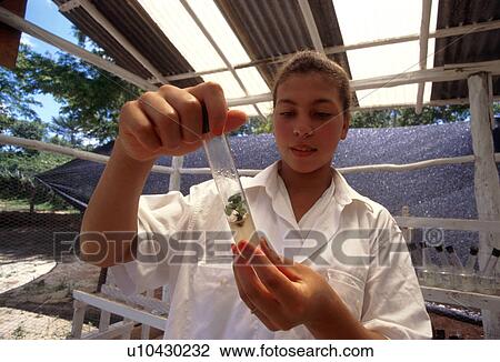 technician, technology, female, 3368, person, people View Large Photo Image Stock Image - technician, technology, female, 3368, person, people. Fotosearch