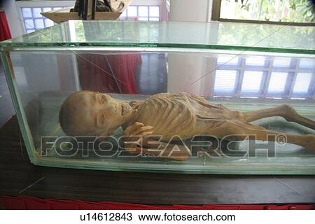 Stock Image - thailand, child, skeleton, kid, person, people. Fotosearch