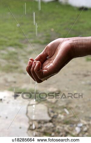 Picture - thailand, hand, person, nature, pattern, people. Fotosearch