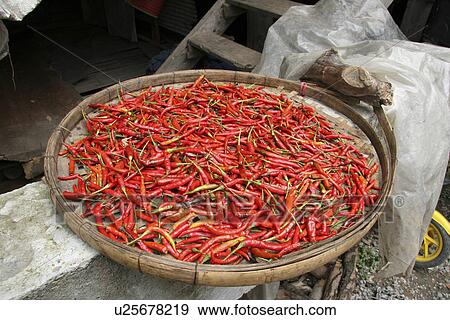 thailand, pattern, sun, person, nature, people View Large Photo Image Stock Photo - thailand, pattern, sun, person, nature, people. Fotosearch
